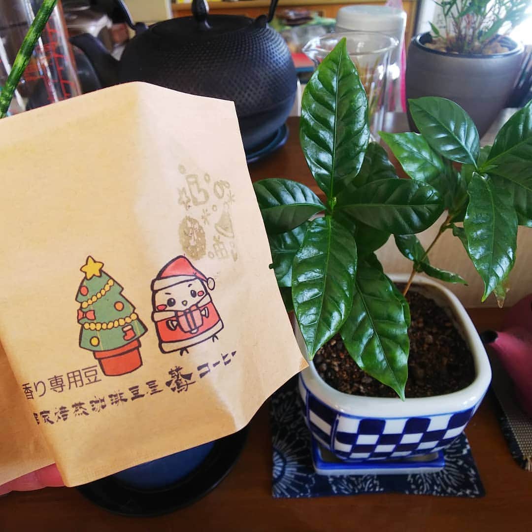 みながわゆみのインスタグラム