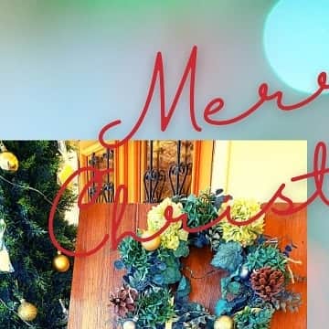 メゾン エルミタージュのグルメインスタ