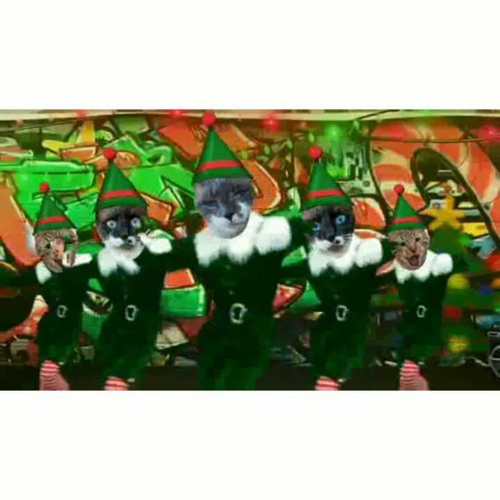 Garyのインスタグラム：「The national dance of Malicestan, which is only slightly less corrupt than the US and A. #pardonme #malicestan #creepyaf」