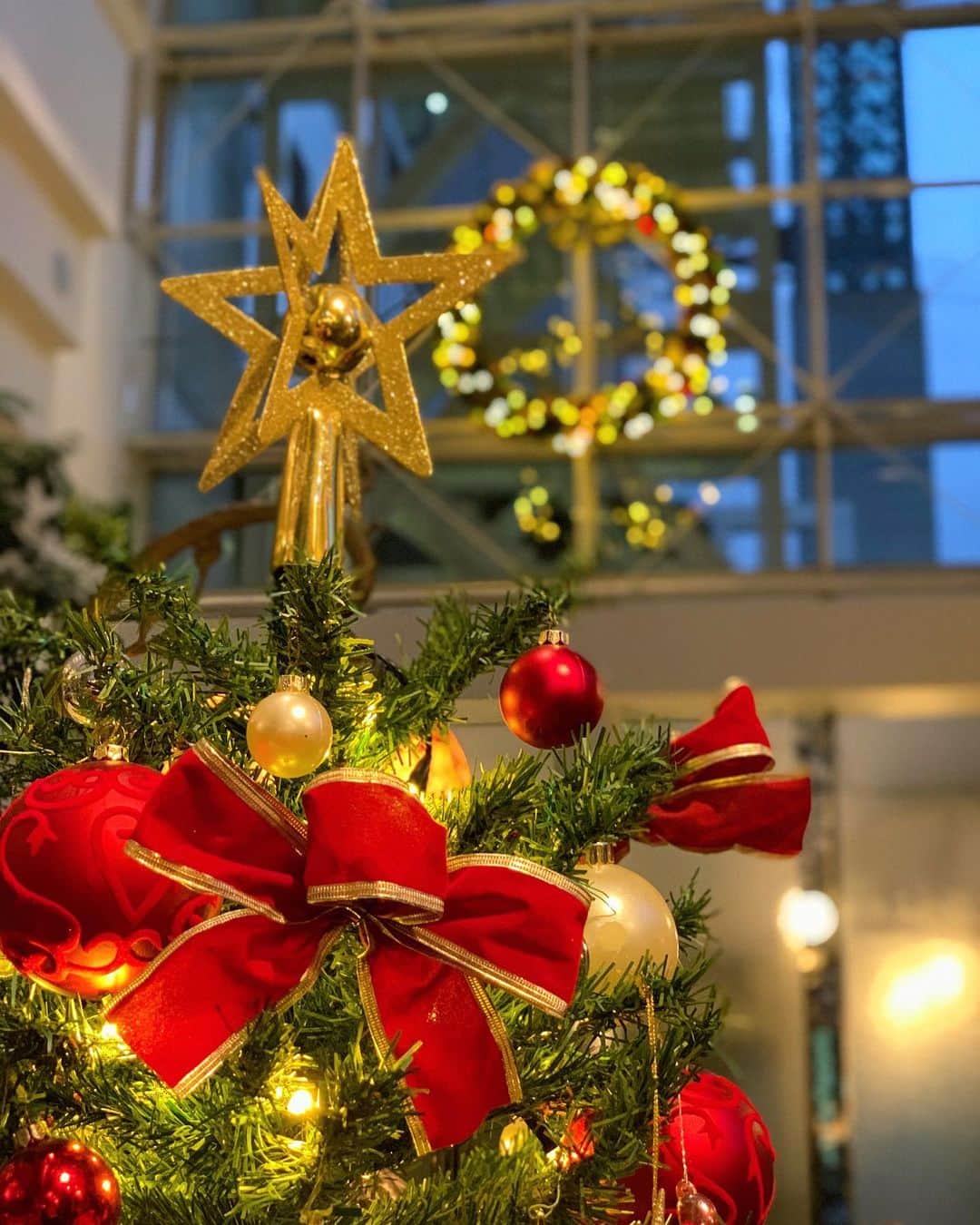 The Westin Osaka （ウェスティンホテル大阪）さんのインスタグラム写真 - (The Westin Osaka （ウェスティンホテル大阪）Instagram)「Merry Christmas 🎄 Have a nice day🎅✨ . . ————————————————— #Christmas #クリスマス #クリスマス 2020 ♯アマデウス #クリスマスツリー ————————————————— Tag @westinosaka to share your image with us. ⠀⠀ #WestinOsaka #ウェスティンホテル大阪」12月24日 11時28分 - westinosaka