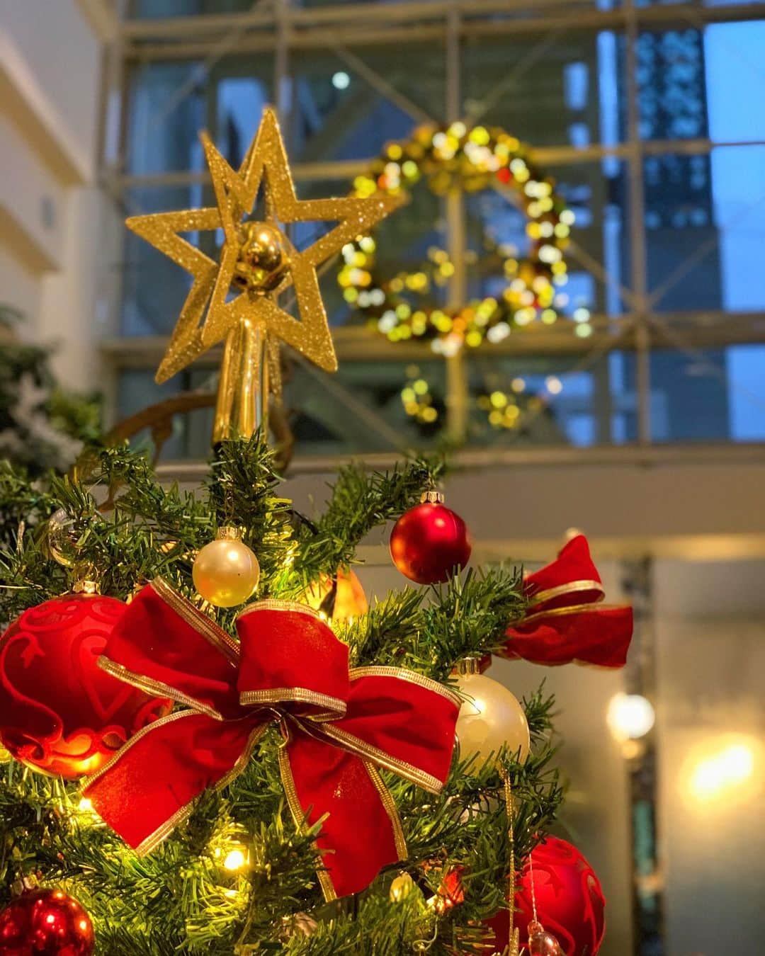 のインスタグラム：「Merry Christmas 🎄 Have a nice day🎅✨ . . ————————————————— #Christmas #クリスマス #クリスマス 2020 ♯アマデウス #クリスマスツリー ————————————————— Tag @westinosaka to share your image with us. ⠀⠀ #WestinOsaka #ウェスティンホテル大阪」