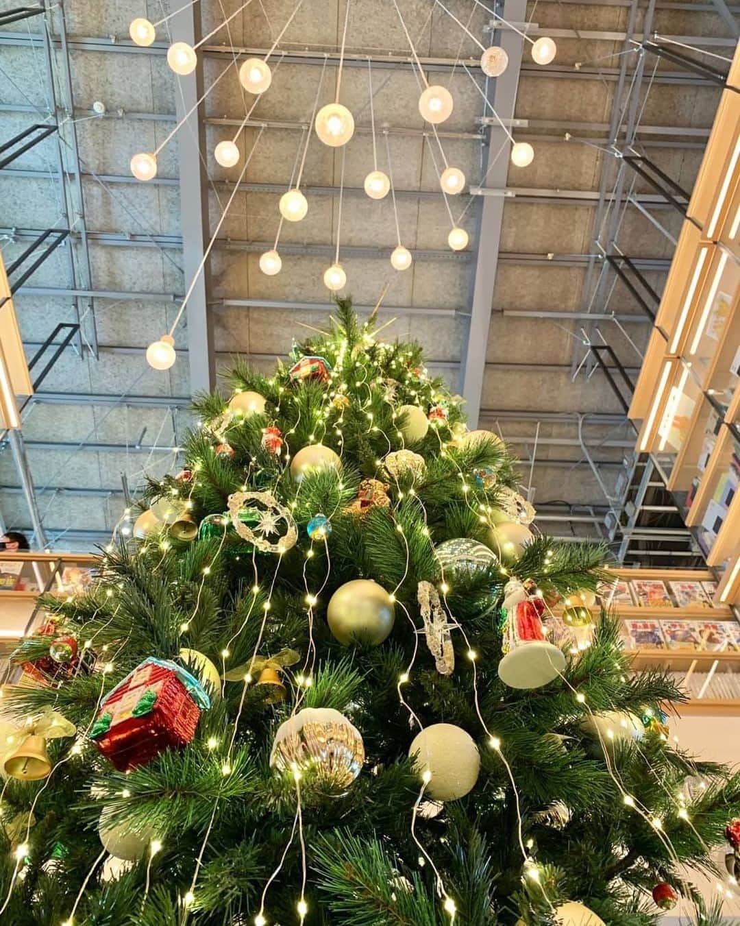 柏の葉 T-SITEのグルメインスタ