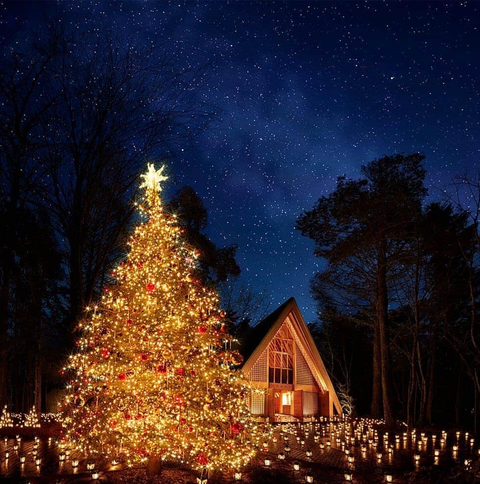 ELLE DECOR JAPANさんのインスタグラム写真 - (ELLE DECOR JAPANInstagram)「今日はクリスマスイブ！ エル・デコ オンラインでは、東京近郊のクリスマスイルミネーションをご紹介。 密を避けながらそっと一人で、あるいは大切な人とだけ聖夜を楽しむのも今年のクリスマスの醍醐味かも🎄 . . #elledecor #elledecorjapan #エルデコ #インテリア #インテリア好き #暮らし #インテリアデザイン #interior #interiordesign  #クリスマス #クリスマスプレゼント #イルミネーション #christmas #holiday #ツリー #クリスマスツリー #デザインギフト #デザイン好き #クリスマスイブ #christmaseve」12月24日 11時52分 - elledecorjapan