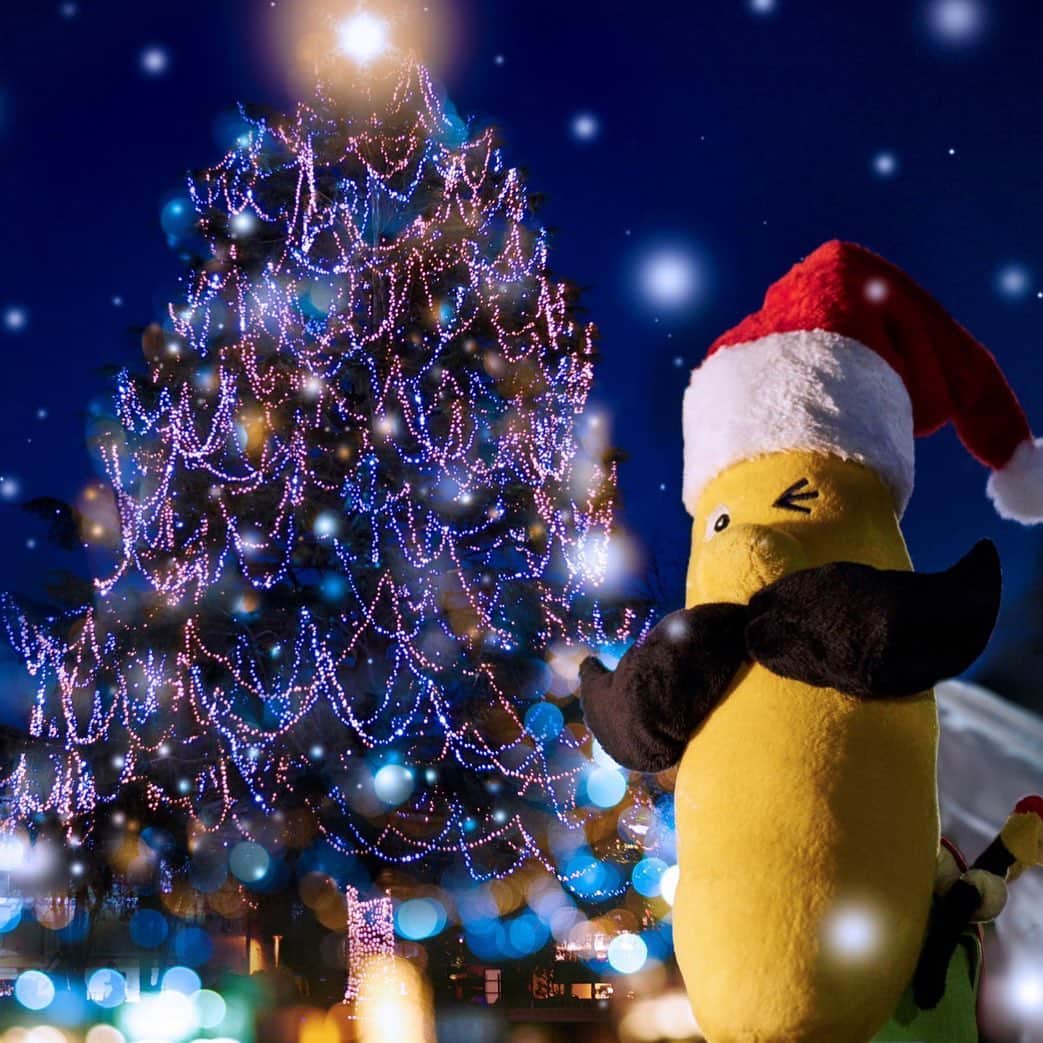 Sumifruのインスタグラム：「今夜はクリスマスイブ✨✨ 待ちに待ったサンタさんは来るかのう？  おうちで過ごすクリスマスの食卓は、 ローストチキンにパエリア、グラタン、そしてケーキ、、、 みな、おいしそうじゃ♡ パーティーの飾り付けやご馳走の準備と頑張っている姿に 心が打たれるぞよ。涙  パーティーの準備に疲れたら、#休憩時間 にぜひ#バナナ を取り入れてほしいぞよ♡ バナナに含まれている糖質が、すばやく#エネルギー を補給してくれ、#疲労回復 も期待できるのじゃ😊  がんばったみんなへ、ハッピークリスマス🎄  #バナナはスミフル #甘熟王 #sumifru #スミフル #クリスマス  #xmas  #クリスマスバナナ #バナナサンタ #クリスマスイブ」