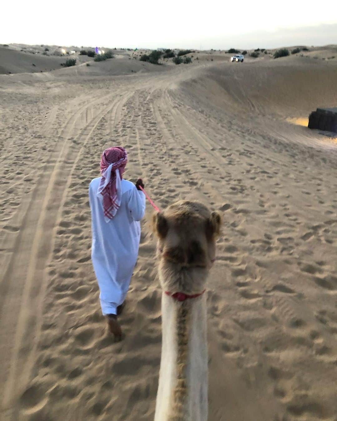 Nargis Fakhri のインスタグラム：「It doesn’t matter where you are going. It’s who you have beside you.  @explorertoursuae  . . . . . . . #travel #nomad #wanderlust #dubai #joy #peace #love #desertlife #sandunes #desertdinner #ilovedubai #life #goodvibes #experience」