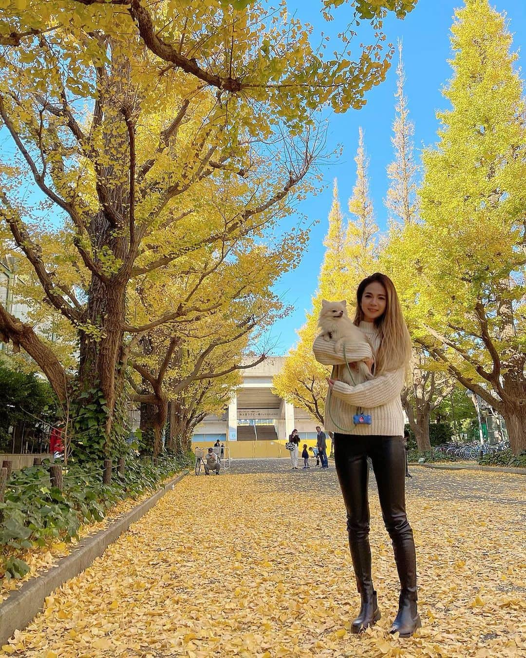 YUCAMAMEのインスタグラム：「YELLOW🐥  #外苑前いちょう並木   #秋 #紅葉 #紅葉狩り #東京 #東京観光 #旅行 #旅行好きな人と繋がりたい #旅行好き女子 #たびすたぐらむ #tabi_jyo #travelgram #traveler #goproのある生活 #goprojp #goprotraveljapan #gopro女子 #jtbで旅したい #jalan_travel #japan」