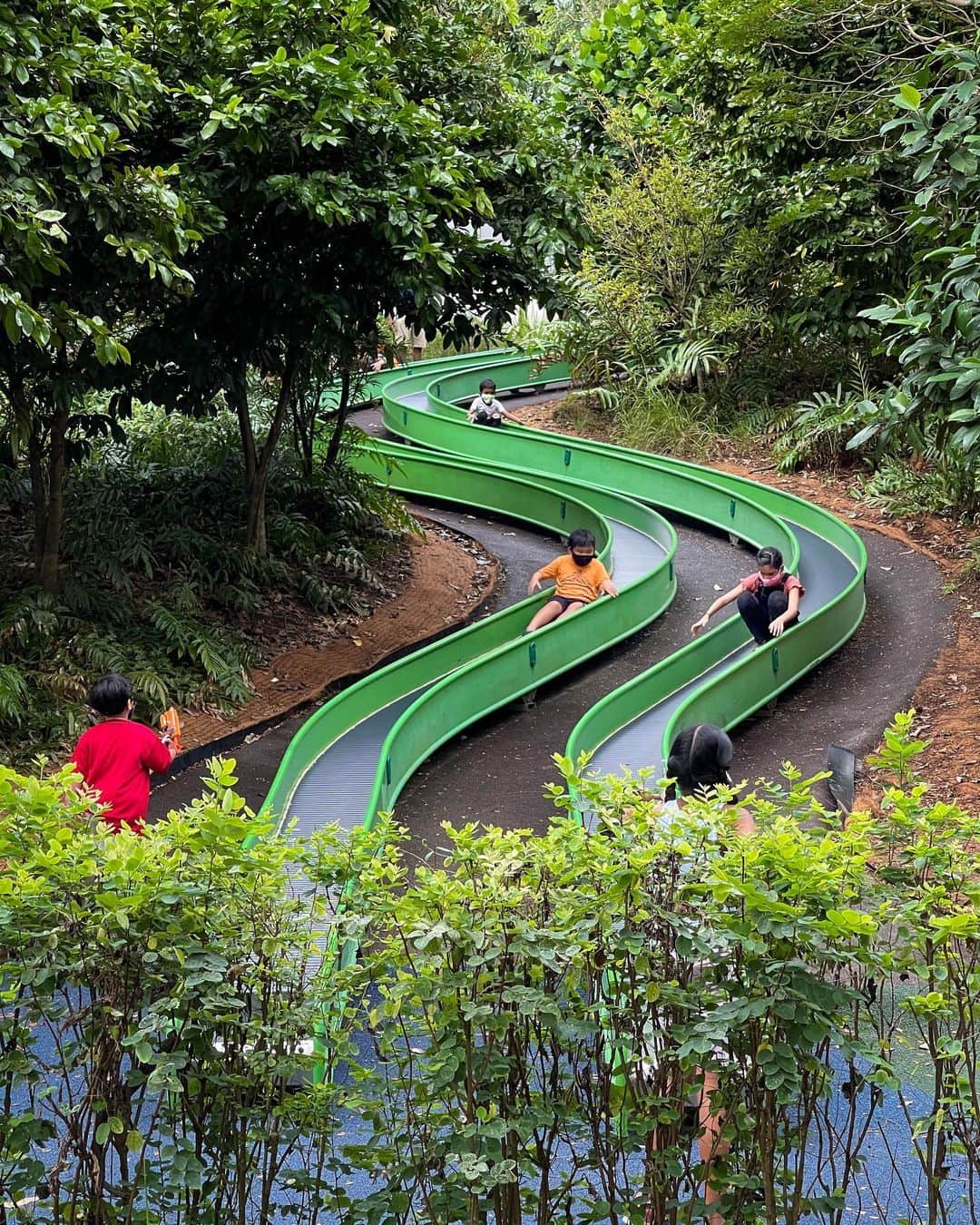 リー・シェンロンさんのインスタグラム写真 - (リー・シェンロンInstagram)「It’s the last week of the year, and most people are staying in Singapore instead of travelling (including me!). It’s a good opportunity to rediscover our local parks and attractions.   I too have been out and about. Visited Admiralty Park and the Woodlands Waterfront Park last Sunday. Both places had a quiet buzz, and I was happy to see families spending time outside together. How are you spending the last week of 2020? – LHL  (Photos by me)」12月24日 12時24分 - leehsienloong