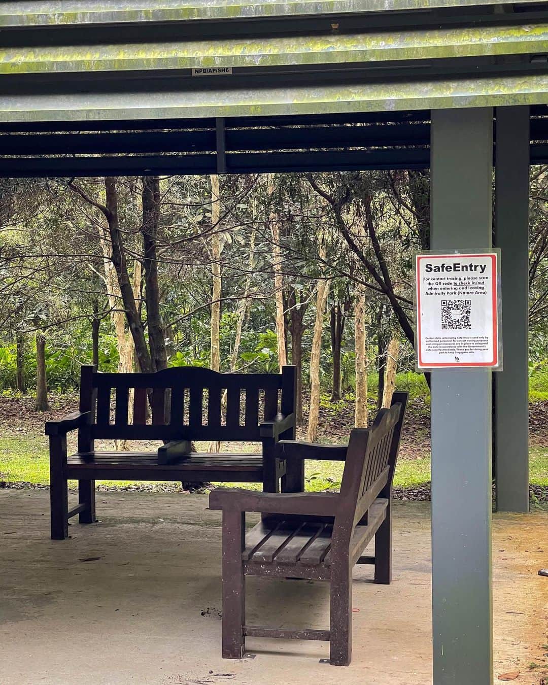 リー・シェンロンさんのインスタグラム写真 - (リー・シェンロンInstagram)「It’s the last week of the year, and most people are staying in Singapore instead of travelling (including me!). It’s a good opportunity to rediscover our local parks and attractions.   I too have been out and about. Visited Admiralty Park and the Woodlands Waterfront Park last Sunday. Both places had a quiet buzz, and I was happy to see families spending time outside together. How are you spending the last week of 2020? – LHL  (Photos by me)」12月24日 12時24分 - leehsienloong