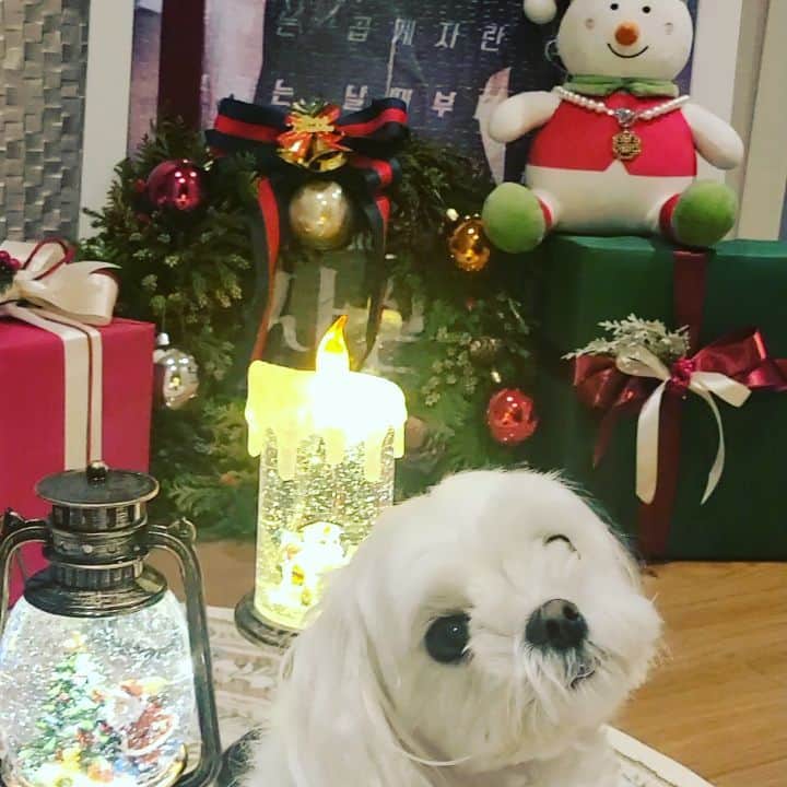 ソヒョンのインスタグラム