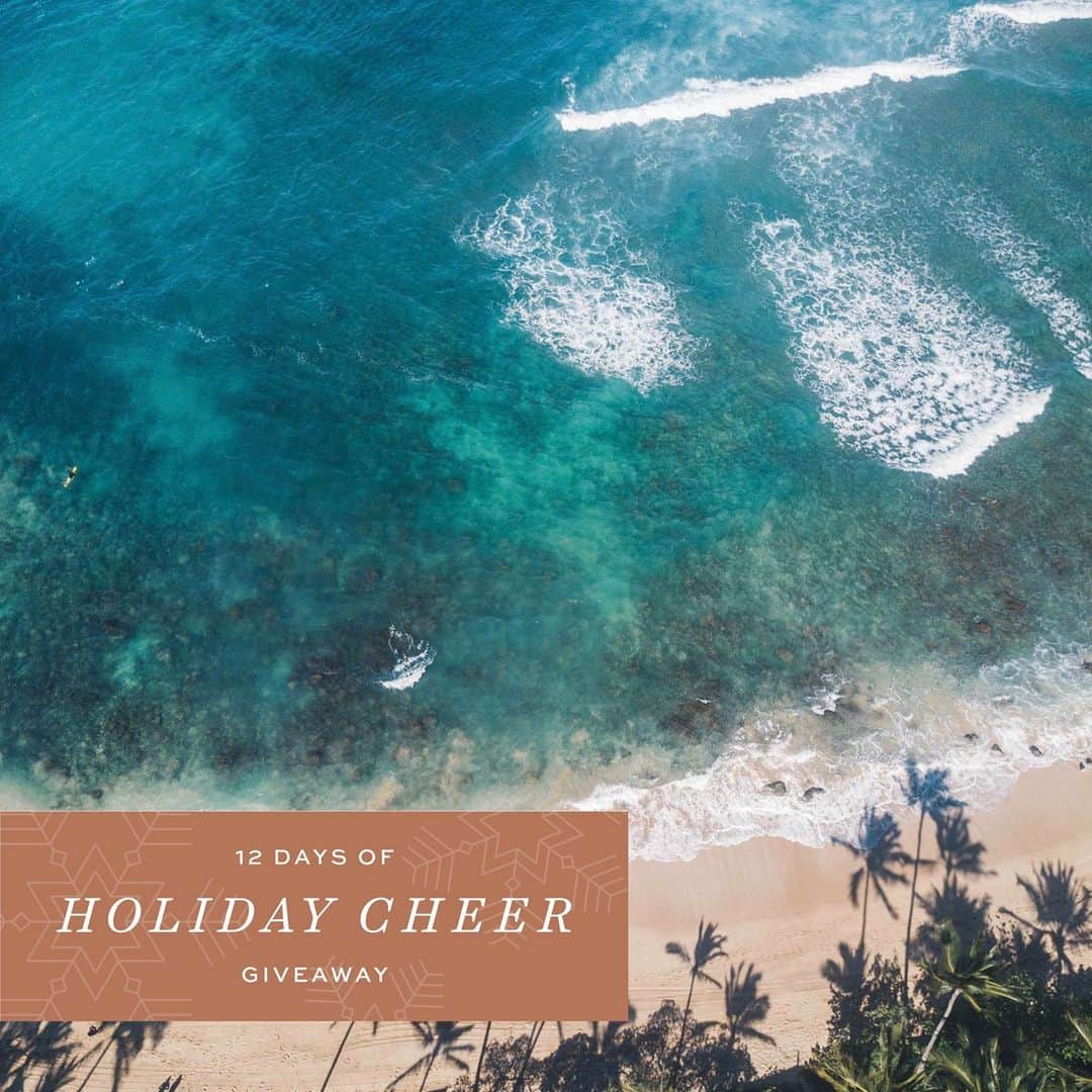 Prince Waikikiのインスタグラム：「Update: Giveaway closed. Congratulations to the winner of Day 11: @jenegami   We’re almost to the finale of our 12 Days of Holiday Cheer Giveaway. Today is Day 11 and we’ll be supporting our partners at Sustainable Coastlines Hawaii with a $300 monetary donation on behalf of today’s winner! To enter, tag 3 friends below and follow @princewaikiki and @sustainablecoastlineshawaii.   **Must enter by 12/25 at 11:59pm HST. Winner will be selected at random and announced on 12/26. his giveaway is not sponsored, endorsed or administered by, or associated with Instagram.   Photo by @charlottepiho」