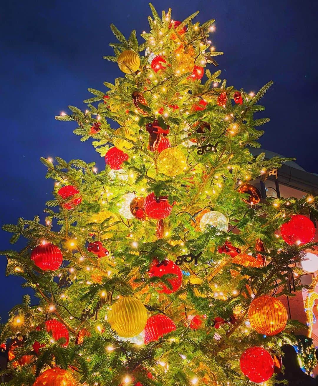のインスタグラム：「🎅🎄🎁 . #merrychristmas #christmaseve」