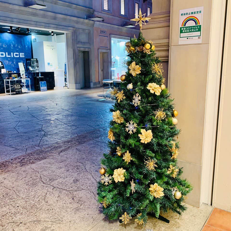ハワイアンジュエリーのWailea（ワイレア）さんのインスタグラム写真 - (ハワイアンジュエリーのWailea（ワイレア）Instagram)「クリスマスが近づいてきましたね！ワイレアお台場ヴィーナスフォート店も、クリスマス一色で皆様をお迎えしております🎄🎅 いろんなことがあった2020年。今年1年頑張ったご褒美に、そして来年を明るい気持ちで迎えられるように、ワイレアのジュエリーに願いを込めませんか？✨🌺🌈  #ハワイアンジュエリー #hawaiianjewelry #ハワイ #hawaii #イエローゴールド #yellowgold #ピンクゴールド #pinkgold #ホワイトゴールド #whitegold #グリーンゴールド #greengold #シルバー #silver #ワイレア#wailea #ジュエリー #jewelry #お台場ヴィーナスフォート #お台場 #odaiba #ヴィーナスフォート#venusfort #クリスマス #christmas #クリスマスプレゼント #present #ご褒美」12月24日 13時24分 - wailea.hawaii