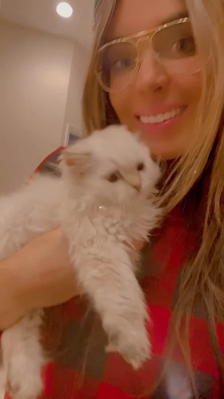 のインスタグラム：「We are baking pistachio cakes tonight. Merry Christmas and Happy Kwanza and Happy Holidays from Yoanna’s House 🎄❤️ #merrychristmas#baking#kitten」