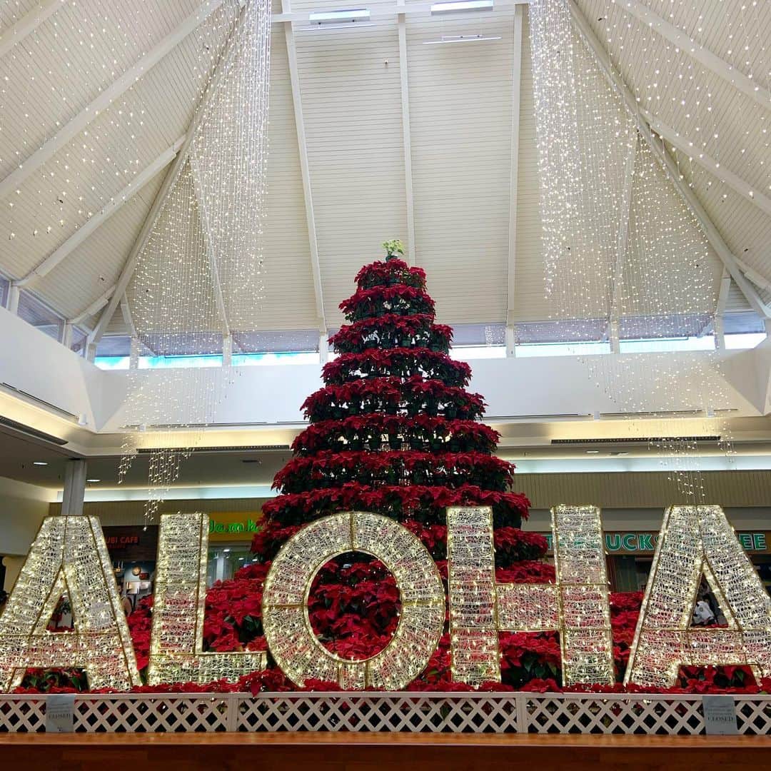 Aloha Street アロハストリートさんのインスタグラム写真 - (Aloha Street アロハストリートInstagram)「赤いポインセチアでできたカハラモールのクリスマスツリー🎄素敵👏  メレ・カリキマカ！（ハワイ語でメリークリスマス！）みなさま、素敵なクリスマスイブ&クリスマスをお過ごしください☺️  #ハワイ#クリスマス#カハラ」12月24日 13時27分 - alohastreetcom_hawaii