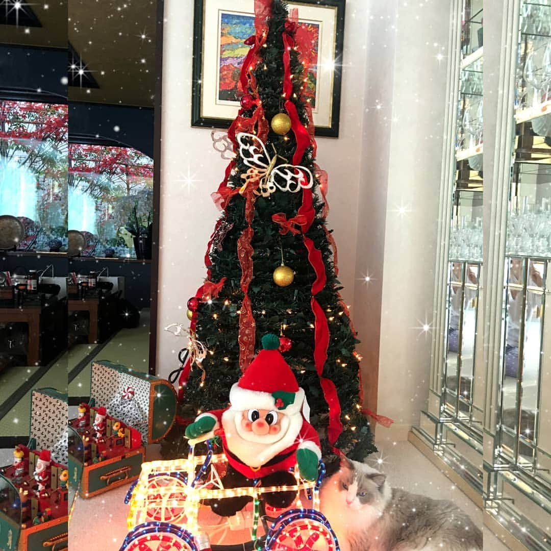 小林幸子さんのインスタグラム写真 - (小林幸子Instagram)「メリークリスマス🎄 今年はおうちでゆっくり過ごしましょうね✨  素敵なイブ&クリスマスを♥   #sachikokobayashi  #小林幸子  #素敵なクリスマスになりますように  #メリークリスマス🎄」12月24日 14時03分 - kobayashi_sachiko_5884