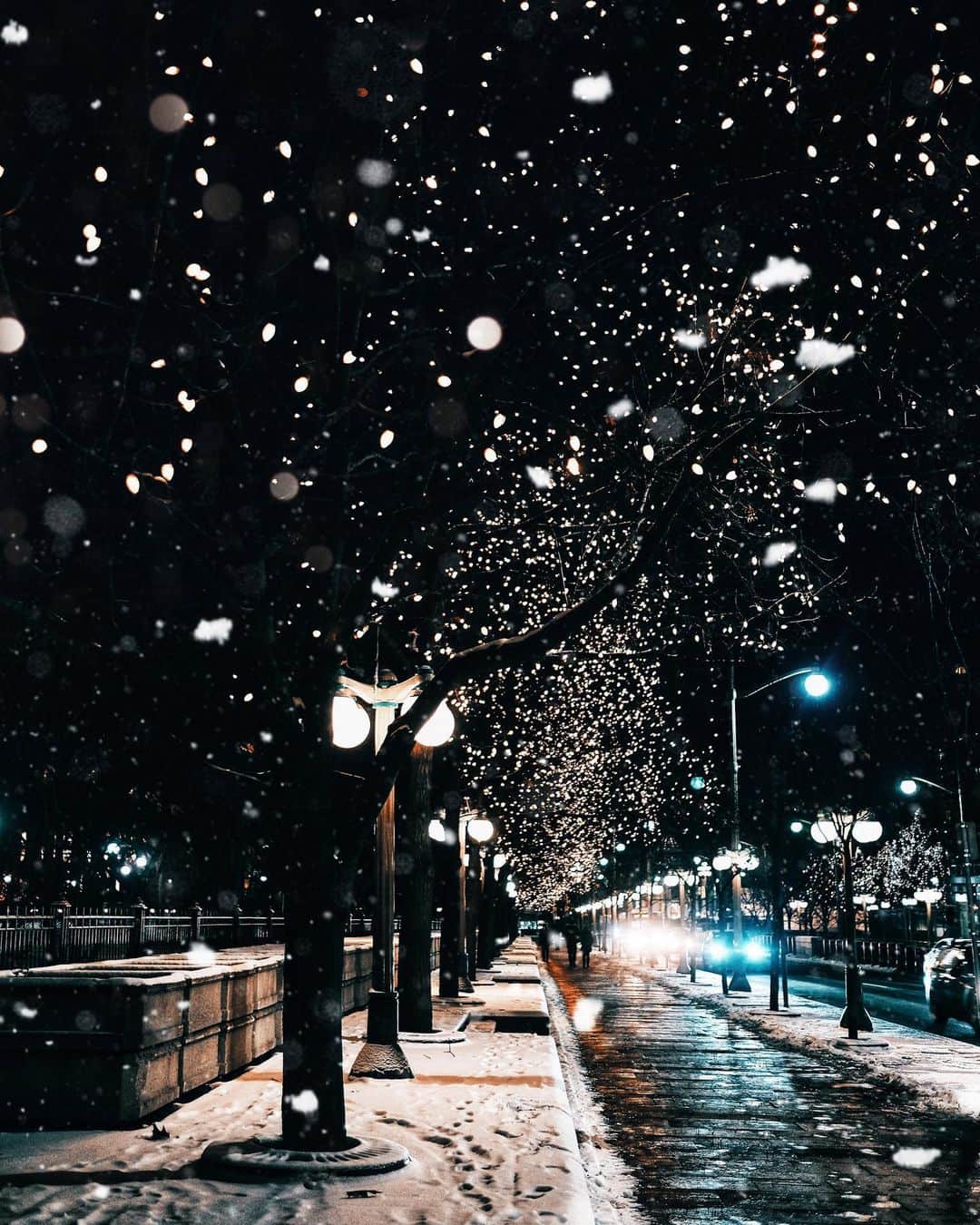 kaelのインスタグラム：「Merry and bright 🤍」