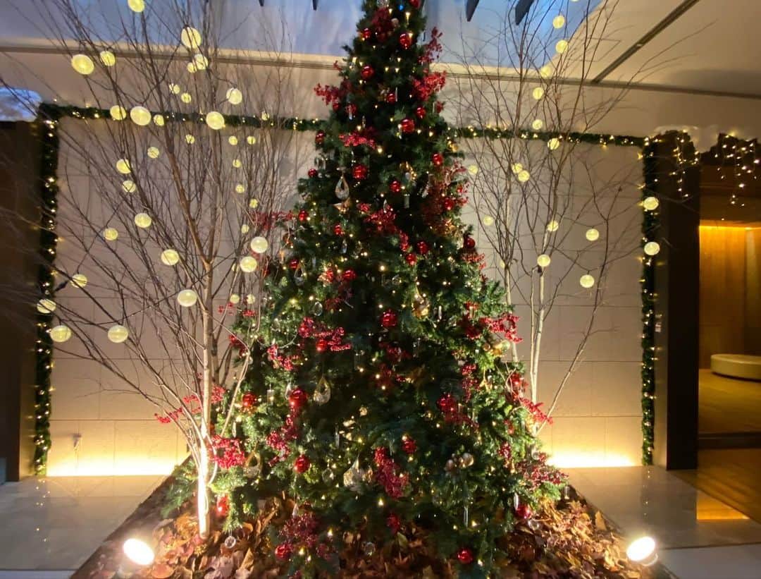 山崎義幸さんのインスタグラム写真 - (山崎義幸Instagram)「Merry Christmas ✨ イブの夜は毎年恒例のメンバーでホームパーティー🎄 でもオーストラリアのハービーファミリーが残念ながらコロナで参加出来ず🥲 来年はまた全員でクリスマスをお祝いしたいなぁ🥺  #恒例のグロブナークリスマス会 #撮影は天馬」12月25日 0時10分 - yoshi_ymz
