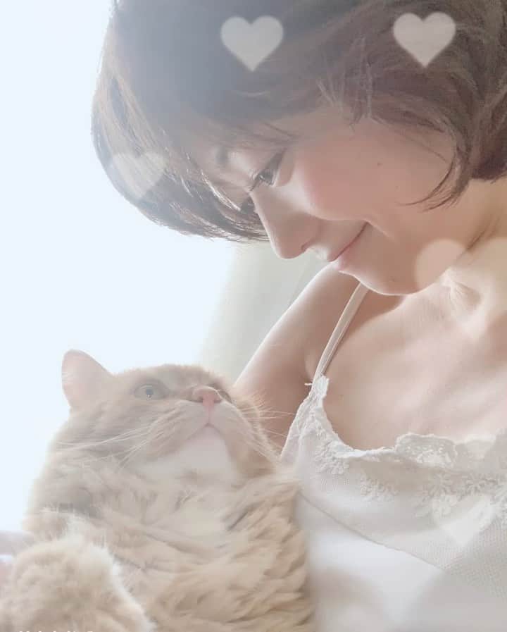 森田涼花のインスタグラム：「メリークリスマス🎄⭐️ にゃんじゅうろくインスタ始めて三年💖 成長を優しく見守ってくださりありがとうございます。 @nyancat_16」