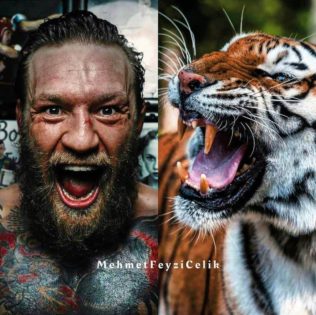 コナー・マクレガーさんのインスタグラム写真 - (コナー・マクレガーInstagram)12月25日 0時18分 - thenotoriousmma