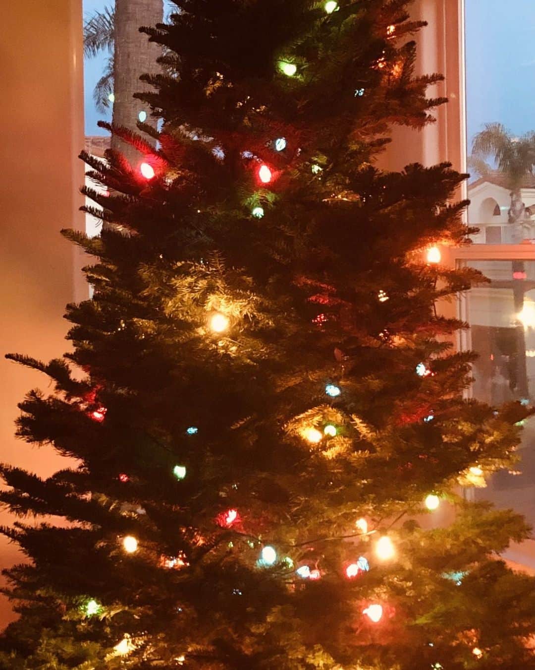 メアリー・マクドネルのインスタグラム：「On this delicate Christmas morn wherever your are in the world, may you feel your many blessings and take some time to send love to those who have lost so very much . A new day is dawning .. let’s get ready and give the world love❤️❤️❤️❤️」