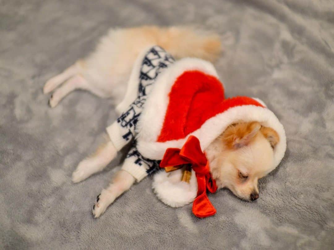 DJ FUMIのインスタグラム：「寝クリスマス🎅 皆さん良い一日を🎄 わたくしはDJしてきま😇 メリクリ〜」