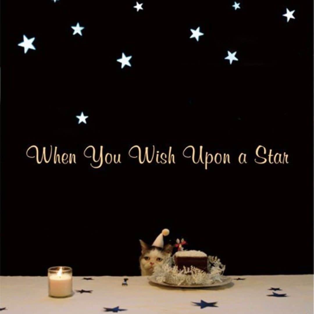 OKAさんのインスタグラム写真 - (OKAInstagram)「おやすみなさい🌙  大小の星型を切り抜いた黒いロール紙を 窓に貼って夜空に。外は晴天、 星から透ける青がきれいだった。 #mako_memorial」12月25日 0時56分 - ytrpics