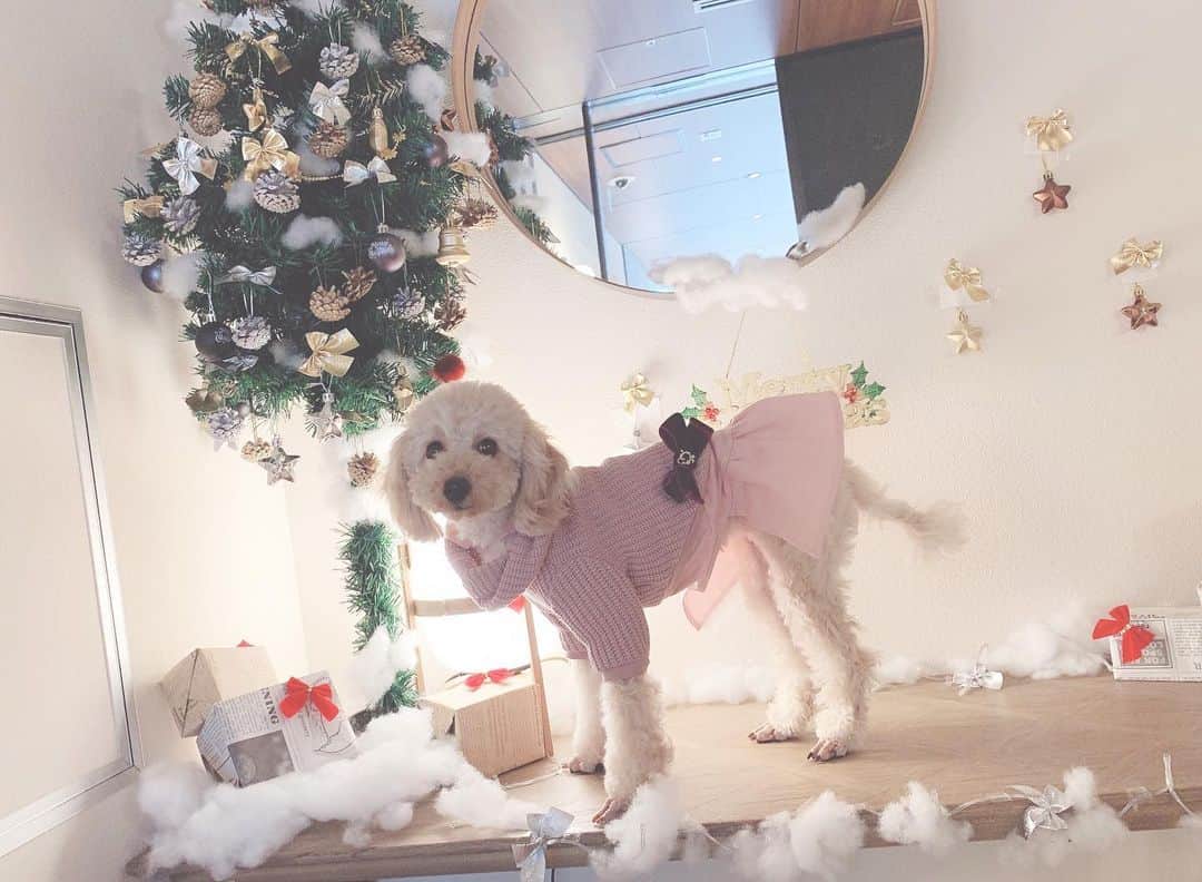 南まゆのグルメインスタ