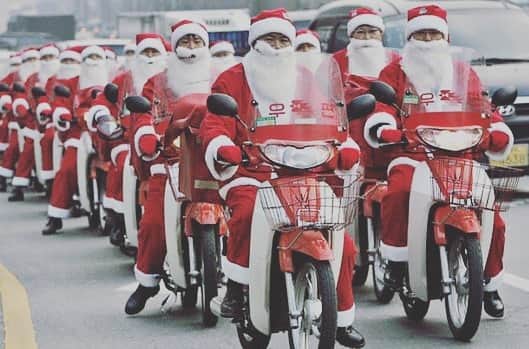 こーいちのインスタグラム：「今年も我が家に来てくれるのかどうかは俺だけが知っている。」