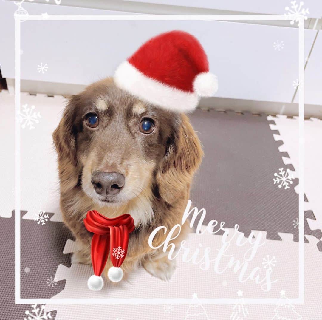のインスタグラム：「🎁🎄 Merry Christmas 🎄🎁」