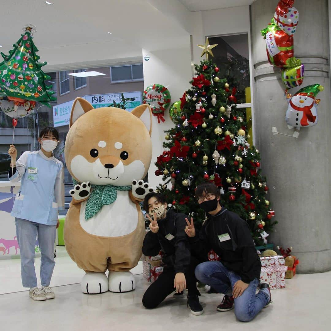 大阪ECO動物海洋専門学校さんのインスタグラム写真 - (大阪ECO動物海洋専門学校Instagram)「週末のオープンキャンパスにお越しくださった高校生の皆様、ありがとうございました😊✨  そして、今年も学生スタッフとして協力してくださったドリサポのみなさんもありがとうございます😆💕 来年もよろしくね〜♬  #オープンキャンパス #学生スタッフ #ドリサポ #大阪eco #大阪ECO動物海洋専門学校 #動物 #専門学校 #動物看護師 #ドッグトレーナー  #ペットトリマー #ドルフィントレーナー #飼育 #アクアリスト #家庭犬」12月24日 16時52分 - osaka_eco