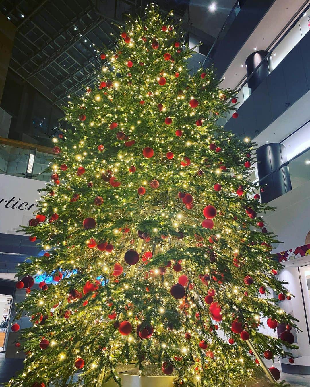 杏さゆりさんのインスタグラム写真 - (杏さゆりInstagram)「🎄Merry Christmas 🎄  . 皆様素敵なクリスマスを。。。🥰 . #クリスマス　#christmas  #杏さゆり　#SayuriAnzu」12月24日 16時57分 - anzu_sayuri_official
