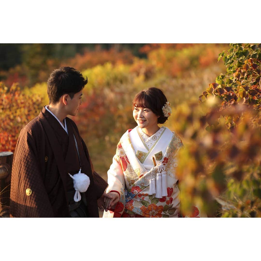 studioTVB NARAさんのインスタグラム写真 - (studioTVB NARAInstagram)「奈良には素敵なロケーションがたくさん！﻿ :﻿ 「撮る結婚式」で素敵な思い出も残しましょう﻿🦌 :﻿ お問い合わせお待ちしてます。﻿ :﻿ :﻿ ﻿ お2人のための結婚写真は、﻿ ぜひスタジオTVBで。﻿ :﻿ :﻿ 奈良店オフィシャルサイト﻿ http://www.studiotvb-nara.jp/﻿ :﻿ スタジオTVB奈良🦌 ﻿ :﻿ :﻿ ﻿ #2021春婚﻿ #2020冬婚﻿ #前撮り﻿ #後撮り﻿ ﻿ #ウェディングドレス﻿ #ウェディングフォト﻿ #フォトウェディング﻿ #花嫁ヘア﻿ #スタジオ前撮り﻿ ﻿ #花嫁さんと繋がりたい﻿ #プレ花嫁﻿ #奈良前撮り﻿ #日本中のプレ花嫁さんと繋がりたい﻿ #全国のプレ花嫁さんと繋がりたい﻿ #オシャレさんと繋がりたい﻿ #スタジオTVB奈良店﻿ #奈良公園﻿ #色打掛﻿ #白無垢﻿ ﻿ #marry花嫁﻿ #関西花嫁﻿ #ドライフラワー﻿ #wedding﻿ #ヘアメイク﻿ #結婚式﻿ #ロケーション撮影﻿ #鹿﻿ #撮る結婚式﻿ #大阪前撮り撮影」12月24日 16時58分 - studiotvb_nara