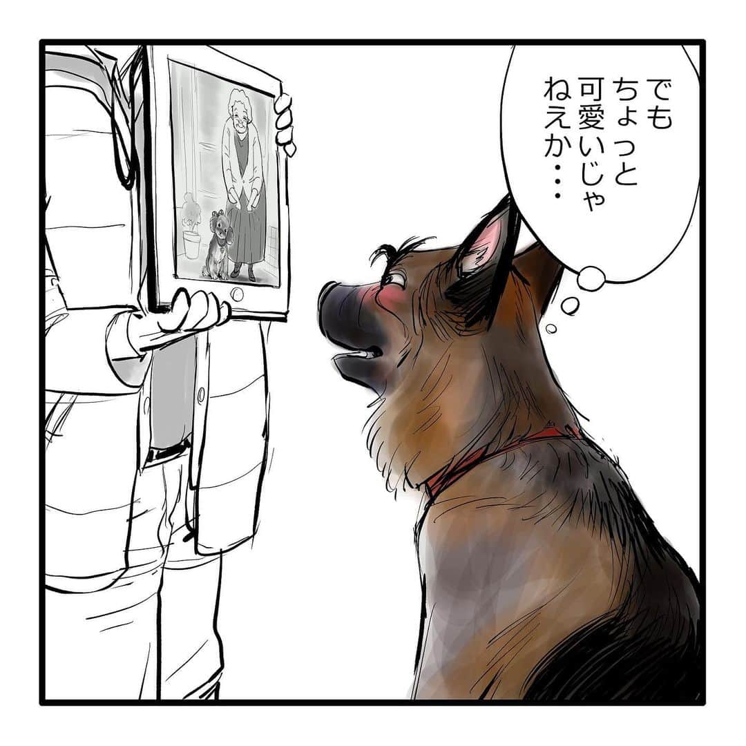 てらりんさんのインスタグラム写真 - (てらりんInstagram)「『ゴボウ』まとめ読み10-④  #漫画 #マンガ #まんが #インスタ漫画 #創作 #コミック #イラスト #犬 #シェパード #ゴボウ #manga #comic #illustration #art #drawing #dog #germanshepherd #alsatian #gobo」12月24日 16時58分 - terarin08