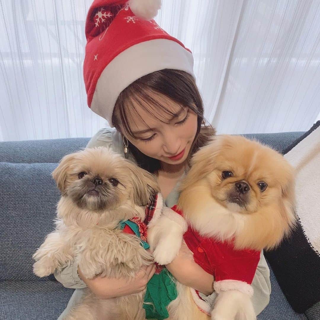 ハミ さんのインスタグラム写真 - (ハミ Instagram)「▽ 🍗🎄🎁🎂💕  我が家は昨日、一足早いクリスマスでした🎅✨  食べたい物を買って来て並べたデパ地下さまさまなクリスマスパーティ😂🍽  皆さんも素敵なクリスマスを🎄✨✨  #happychristmas #❤️」12月24日 17時15分 - hami0519