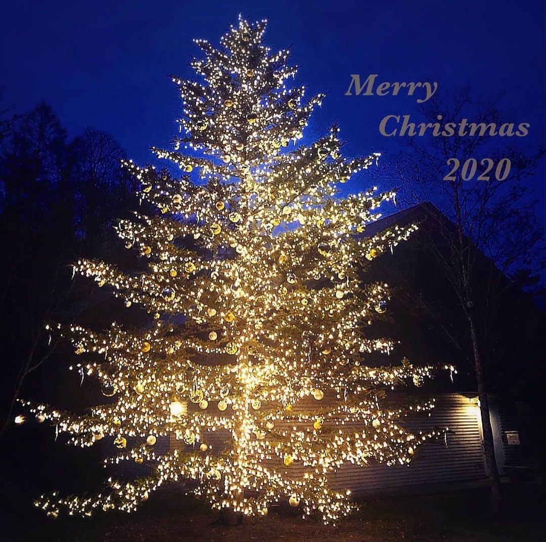 chiyo1173さんのインスタグラム写真 - (chiyo1173Instagram)「🎄  ✩ 𝐌𝐞𝐫𝐫𝐲 𝐂𝐡𝐫𝐢𝐬𝐭𝐦𝐚𝐬 ✩ 皆さま、素敵なクリスマスを 。 ・ ・ #merrychristmas#christmas#クリスマス #クリスマスツリー#🎄#🎅」12月24日 17時15分 - chiyo1173