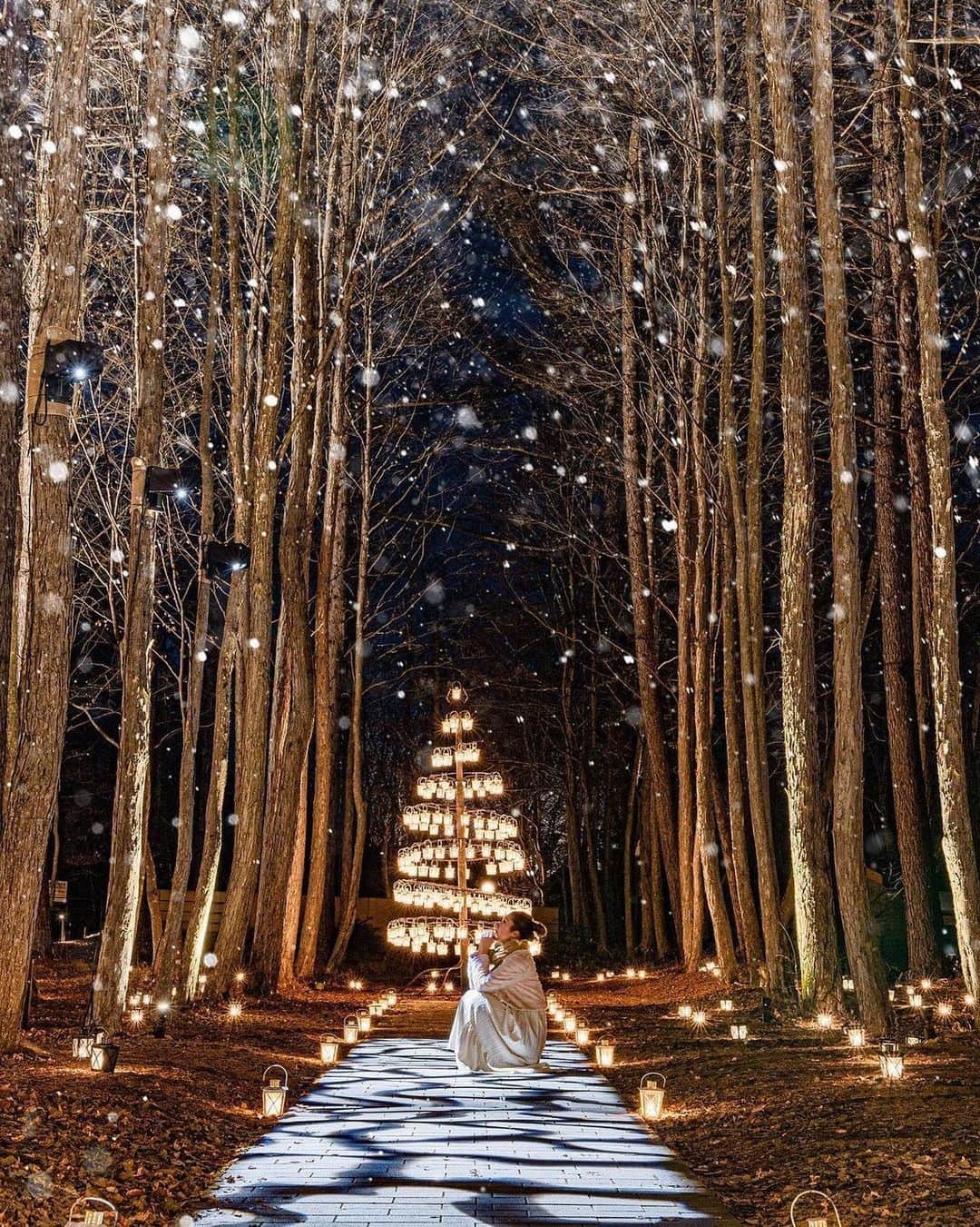 タビジョのインスタグラム：「Merry Christmas Eve🎅 今日から気分はすっかりクリスマス🎄 チキン🍗とワイン🍷で乾杯🥂 本日の「#タビジョ」はこちら💕 ＊＊＊＊ 📸 @yurisu13 🚩 長野県「軽井沢高原教会」 コメント抜粋 星降る森のクリスマス2020🕯💫  星のや軽井沢では、宿泊した方に チケットを用意してくれていたよ🎫  土日はカメラが重なるくらい混んでたけど…🎄 平日の夕食前は割と余裕があって 周りにほとんど人が居なかった✨✨  とても素敵な空間でした♡  今年の星降る森のクリスマスは 完全予約制となっております❄️ ＊＊＊＊＊＊ #タビジョ #tabijyomap_japan #軽井沢高原教会」