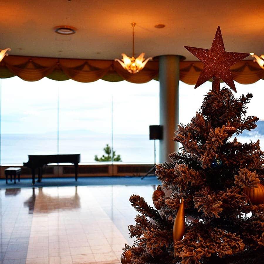 ホテルニューアカオ　熱海温泉＆リゾートさんのインスタグラム写真 - (ホテルニューアカオ　熱海温泉＆リゾートInstagram)「今日はクリスマスイヴですね🎄✨ 子供たちはクリスマスの朝を楽しみにしていることでしょう😌  ロイヤルウイングの玄関では正装のくまさんが ツリーと一緒にお客様をお出迎えしております。 『ご一緒に記念写真はいかがですか？🐻📷』  ゆっくり温泉に浸かって疲れを癒し、 美味しいディナーを堪能した後は、 ロイヤルラウンジでしっとりとした ピアノコンサートをお楽しみください。 非日常を味わうちょっと贅沢なクリスマス♪  ※ロイヤルウイングはロイヤルウイングご宿泊者専用施設となります。」12月24日 17時18分 - acao_spaandresort