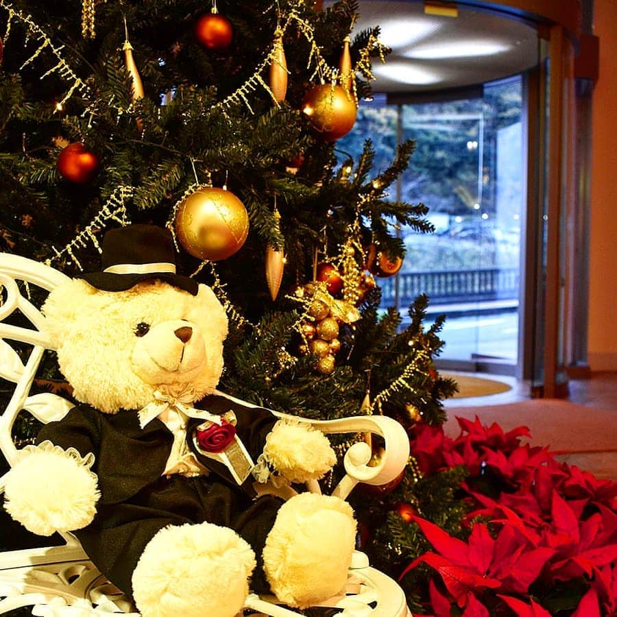 ホテルニューアカオ　熱海温泉＆リゾートのインスタグラム：「今日はクリスマスイヴですね🎄✨ 子供たちはクリスマスの朝を楽しみにしていることでしょう😌  ロイヤルウイングの玄関では正装のくまさんが ツリーと一緒にお客様をお出迎えしております。 『ご一緒に記念写真はいかがですか？🐻📷』  ゆっくり温泉に浸かって疲れを癒し、 美味しいディナーを堪能した後は、 ロイヤルラウンジでしっとりとした ピアノコンサートをお楽しみください。 非日常を味わうちょっと贅沢なクリスマス♪  ※ロイヤルウイングはロイヤルウイングご宿泊者専用施設となります。」