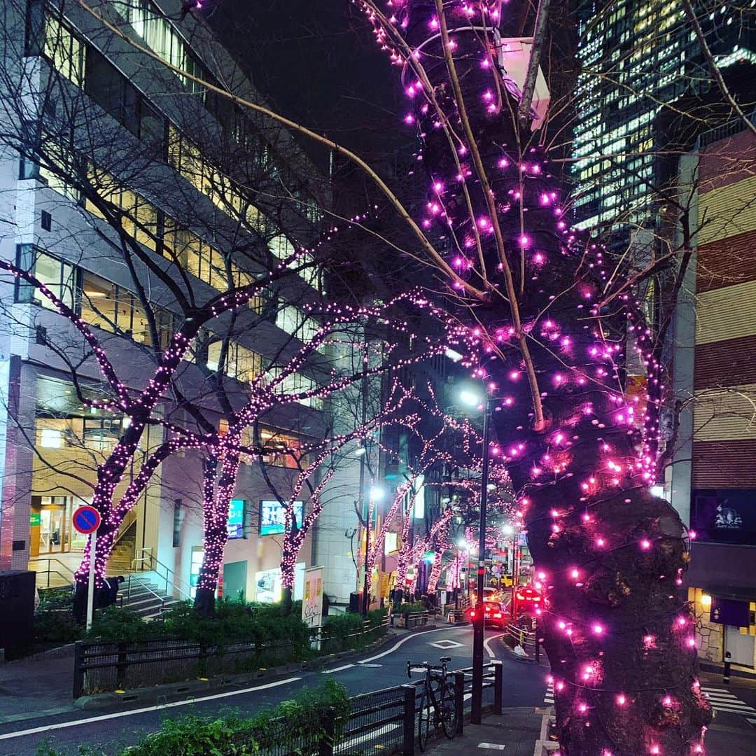 櫻井トオルのインスタグラム：「街がキラキラしてんなー！ メリークリスマス！！🎄」