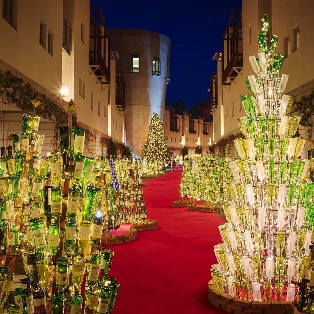 星野リゾートさんのインスタグラム写真 - (星野リゾートInstagram)「【夜に1万2千本のワインボトルが輝く「ワインクリスマス」】  ”Wine Christmas" - 12,000 wine bottles illuminated on a wintery night  自然豊かな八ヶ岳エリアのリゾートホテル「星野リゾート　リゾナーレ八ヶ岳」では、「ワインクリスマス」を開催しています。ワインレッドのカーペットが敷かれたホテルのメインストリート「ピーマン通り」に、1万2千本のワインボトルで作った「ワインボトルツリー」が輝きます。  ツリーに使われるのは、施設内のレストランや近隣のワイナリーから集めた1万2千本のワインボトルです。ワインボトルは、リユースやリサイクルをする取り組みがあるものの、経済性や安全性の問題から実施が難しく、日々大量に破棄されています。ワインボトルを捨てずに活かせないかと、2019年からワインボトルを使ったクリスマスツリーを設置。空になったボトルは色や形が様々で、エチケットには造り手の個性が表れています。ボトルごとに変わるまばゆい光を楽しめます。  #HoshinoResorts #星野リゾート #Risonare #リゾナーレ  #RisonareYatsugatake #リゾナーレ八ヶ岳  #Yamanashi #Yatsugatake #Kiyosato #山梨県 #八ヶ岳 #北杜市 #清里  #山梨旅行 #JapaneseHotels #travelJapan #ig_Japan  #JapanTravel #クリスマス #クリスマスツリー」12月24日 17時30分 - hoshinoresorts.official