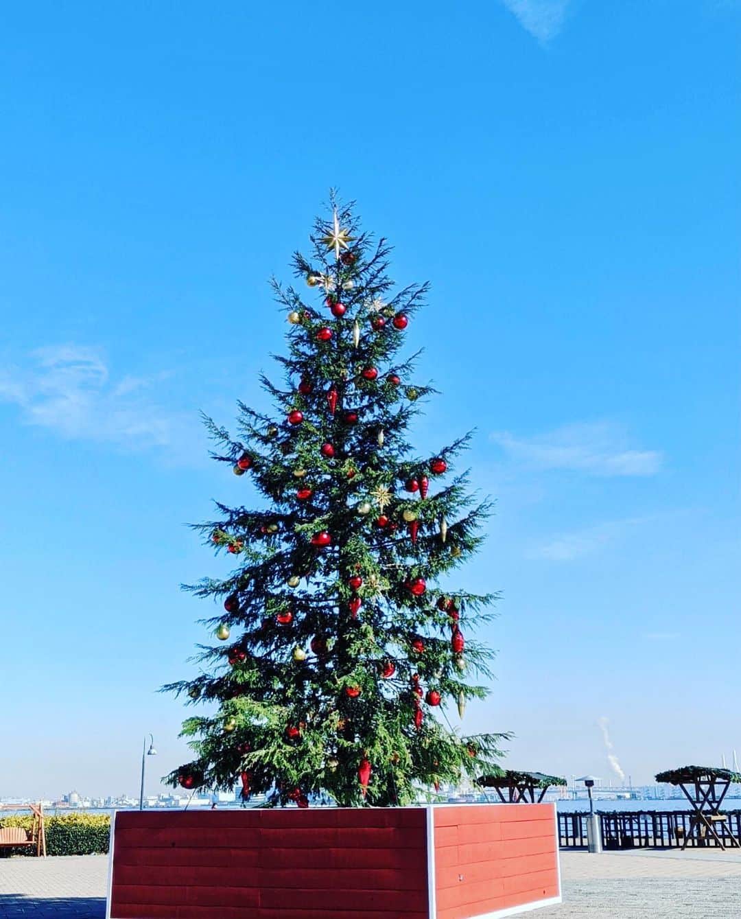 横浜赤レンガ倉庫のインスタグラム：「早いもので、クリスマスイブですね！  Christmas Market in 横浜赤レンガ倉庫もいよいよ明日まで🎄  1万円相当のギフトが抽選で2名さまに当たる、 #赤レンガでサンタさんが落としたマフラーを探せ  キャンペーンも明日までです🔔  ツリーエリアに落としてしまったようですが、みなさま見つけられましたか👀  もう行っちゃったよ✋という方！ ツリーエリアで撮影した写真の中に、赤いマフラー🧣が写り込んでいないか要チェック！！  応募方法をおさらい🎁  1.このアカウントをフォロー 2.ツリーエリアにある赤いマフラーの画像、#赤レンガでサンタさんが落としたマフラーを探せ をつけて投稿🎁  #横浜赤レンガ倉庫 #横浜赤レンガ倉庫クリスマスマーケット  #クリスマスマーケット #キャンペーン」