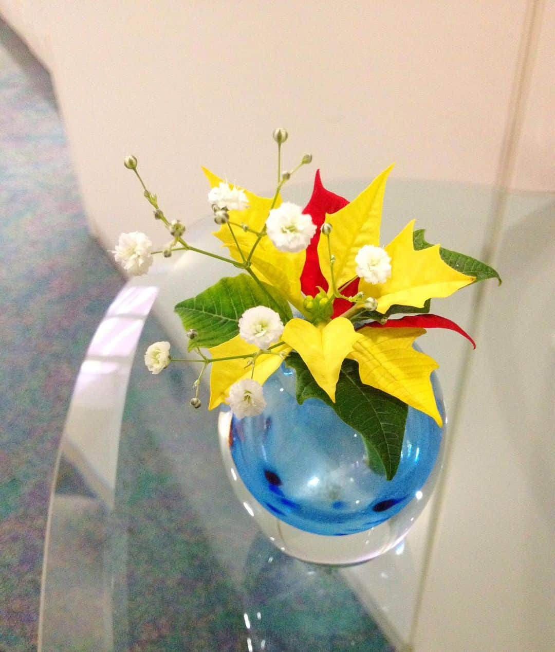 いけばな池坊さんのインスタグラム写真 - (いけばな池坊Instagram)「＊ 【暮らしの花／Flower of Daily Life／生活之花】  12月24日／24th December  メリークリスマス🎄🎄🎄﻿ Merry Christmas 🎄🎄🎄﻿ 聖誕快樂 🎄🎄🎄  花材：かすみ草、ポインセチア﻿ baby's breath, poinsettia﻿ 滿天星，聖誕紅﻿ ﻿ なんだかワクワクする夜ですね✨﻿ ﻿ ﻿ #花をいけようキャンペーン #花をいけよう #暮らしの花﻿ #暮らしに花を #暮らしを楽しむ #季節を感じる #丁寧に生きる #お家時間 #おうち時間を楽しむ #花のある暮らし #誰でも #簡単 #子供と一緒に #クリスマス #サンタ #プレゼント #クリスマス飾り ﻿ #池坊 #いけばな #いけばな池坊 #華道﻿ #ikenobo #ikebana #kyoto #japaneseculture #floweroflife #ikebanaforpraying﻿ #12月の花 #かすみ草 #ポインセチア」12月24日 18時00分 - ikenobo550