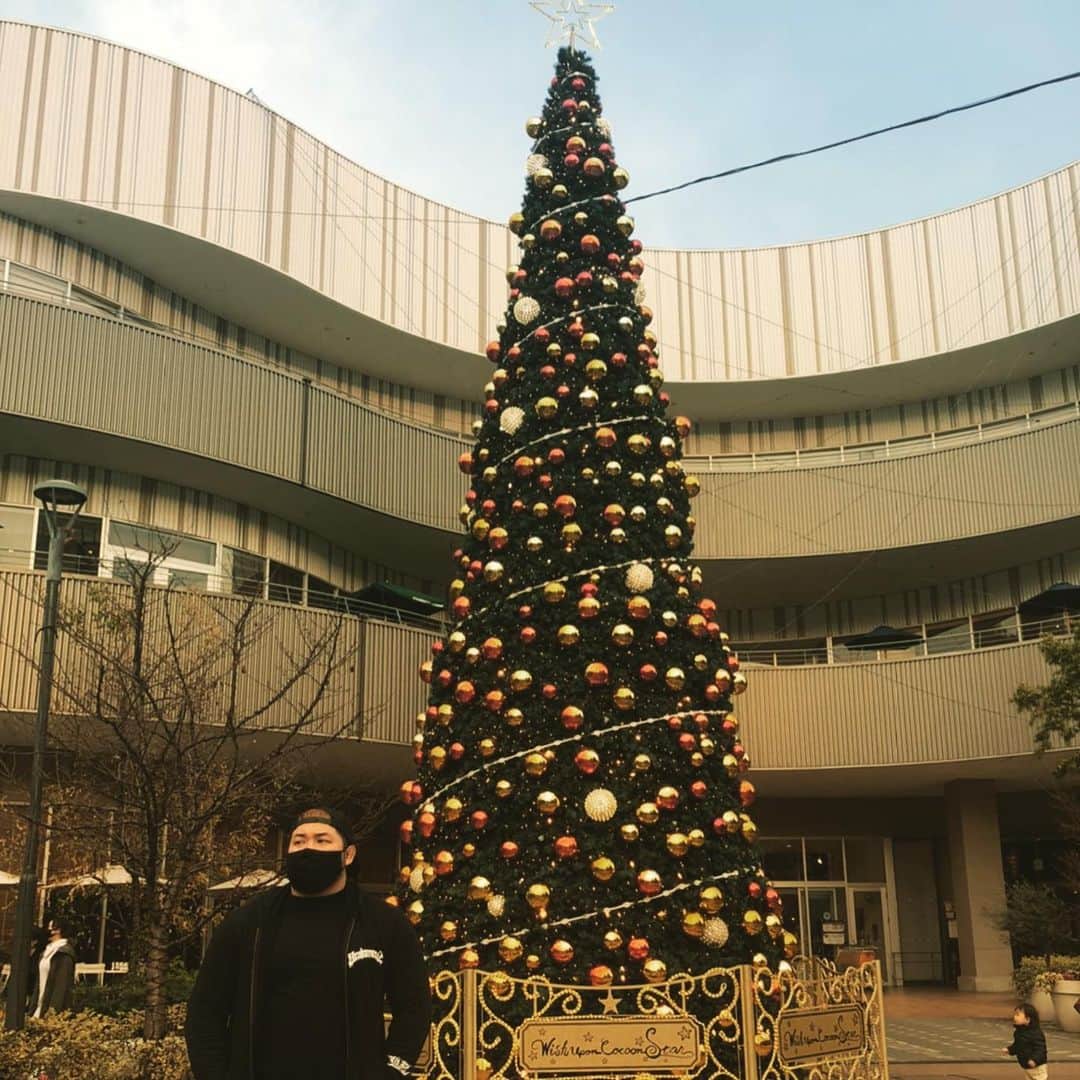 のインスタグラム：「「今年は3枚」 #🎄」