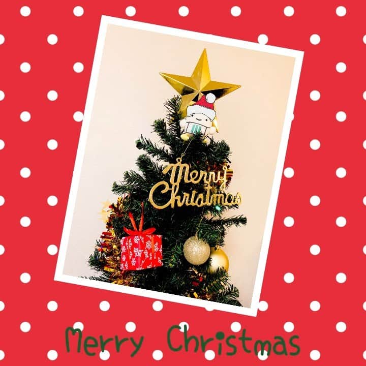 ミツハシくん-Mitsuhashi Rice-のインスタグラム：「今日はクリスマスイブだね～♪ サンタさんからのプレゼントが楽しみ!! わくわくで寝られないよ～～。 クリスマスみんなは何を食べるのかな～。 チキンかな？？クリスマスケーキかな？？ ぼくはお寿司を食べたいな～～  #ミツハシライス #ミツハシくん #クリスマス #クリスマスツリー #ケーキ  #チキン #お寿司 #mitsuhashirice #企業キャラクター」