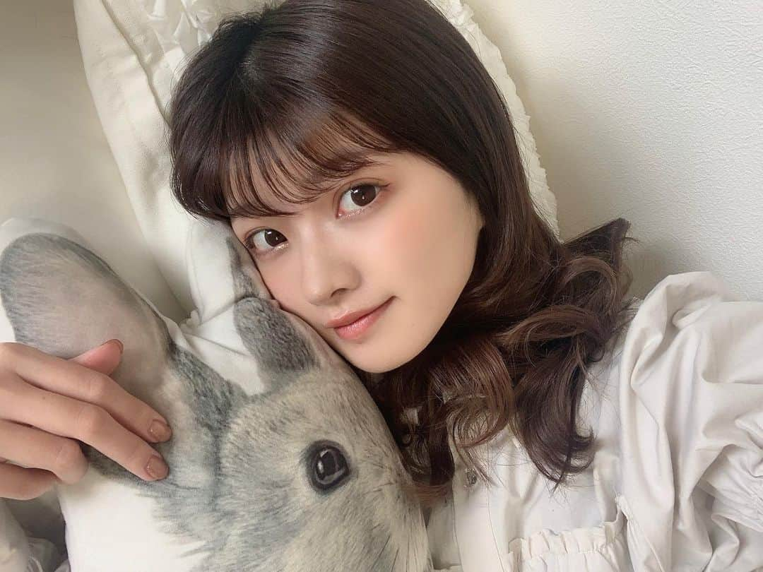 中山星香さんのインスタグラム写真 - (中山星香Instagram)「すやぁ....😴」12月24日 18時14分 - seika0705n