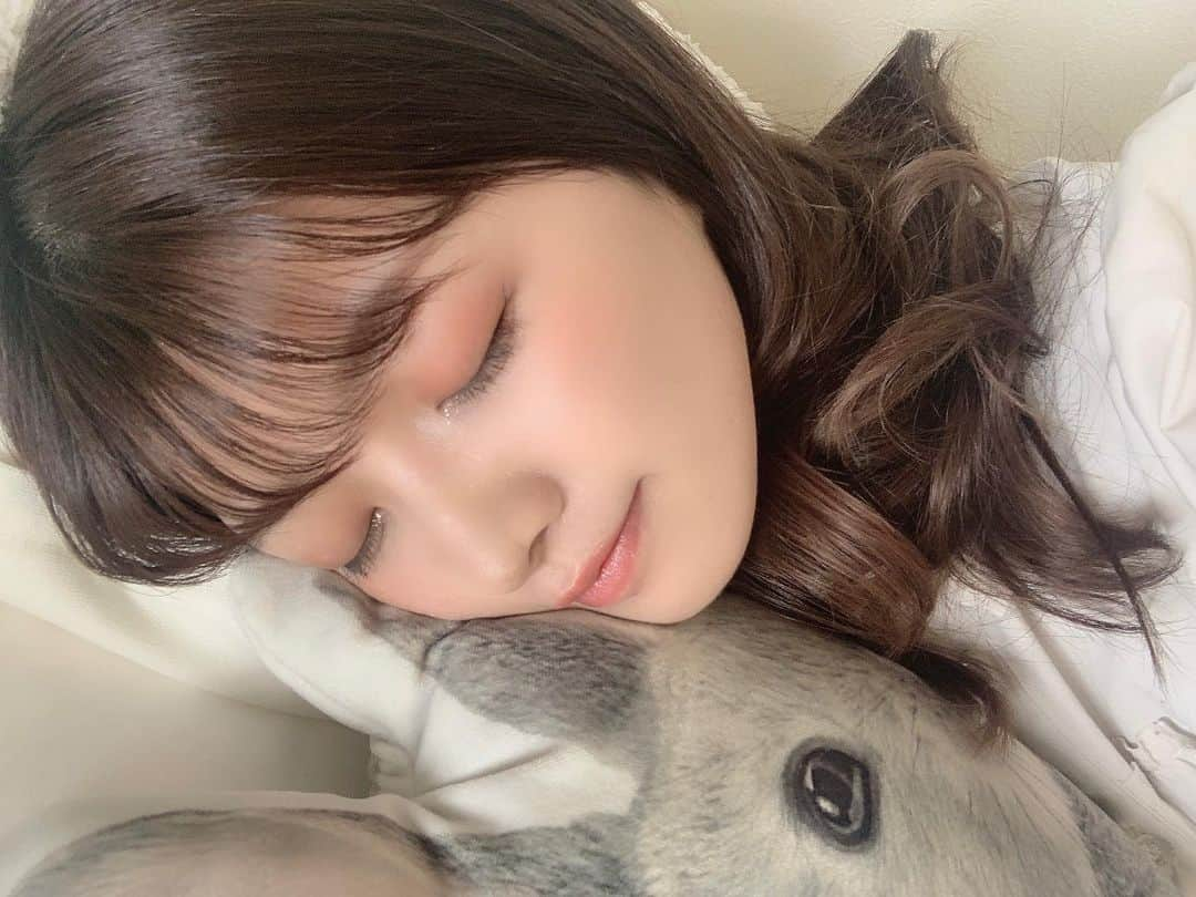 中山星香さんのインスタグラム写真 - (中山星香Instagram)「すやぁ....😴」12月24日 18時14分 - seika0705n