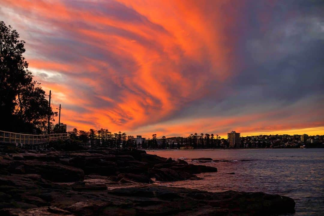 ケイト・キャンベルさんのインスタグラム写真 - (ケイト・キャンベルInstagram)「Thinking of everyone in Sydney and on the Northern Beaches. Thank you for sacrificing your Christmas plans for the rest of us 😞🥰. I'm very grateful to have made it back to Brisbane last week before the border restrictions, so I can be with my family. Stay safe and well everyone 💕🎄❤️」12月24日 18時15分 - cate_campbell