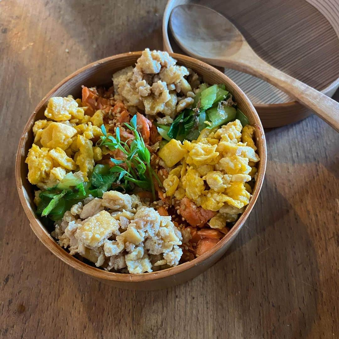 aomojiさんのインスタグラム写真 - (aomojiInstagram)「今日のお弁当  彩弁当 鶏肉と油揚げの甘辛煮 青梗菜のでおかか和え 焼き紅鮭ほぐし 炒り卵 黒米入り玄米ご飯  2020.12.24.曇り☁️  #お弁当#夫婦弁当#丸わっぱ弁当 #男子弁当 #わっぱ弁当 #日々の事#マカロニメイト#obento #japanesefood #foodstagram #life #onthetable #lnstagood #aomojibento #danna」12月24日 18時29分 - aomoji