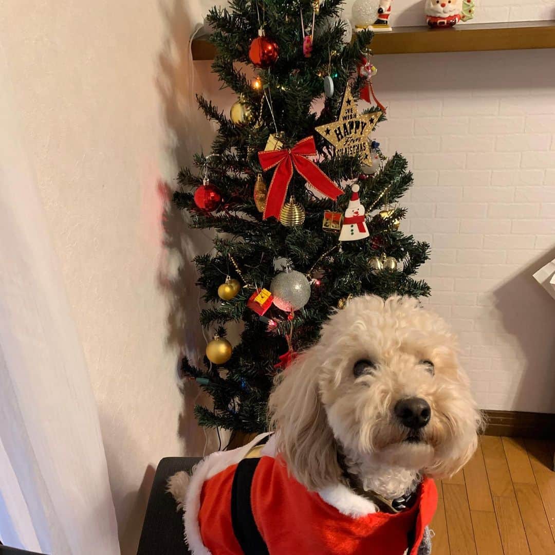 のインスタグラム：「メリクリ #1人でメリクリ #泣きそうメリクリ #このあと仕事して #1人でメリクリ」