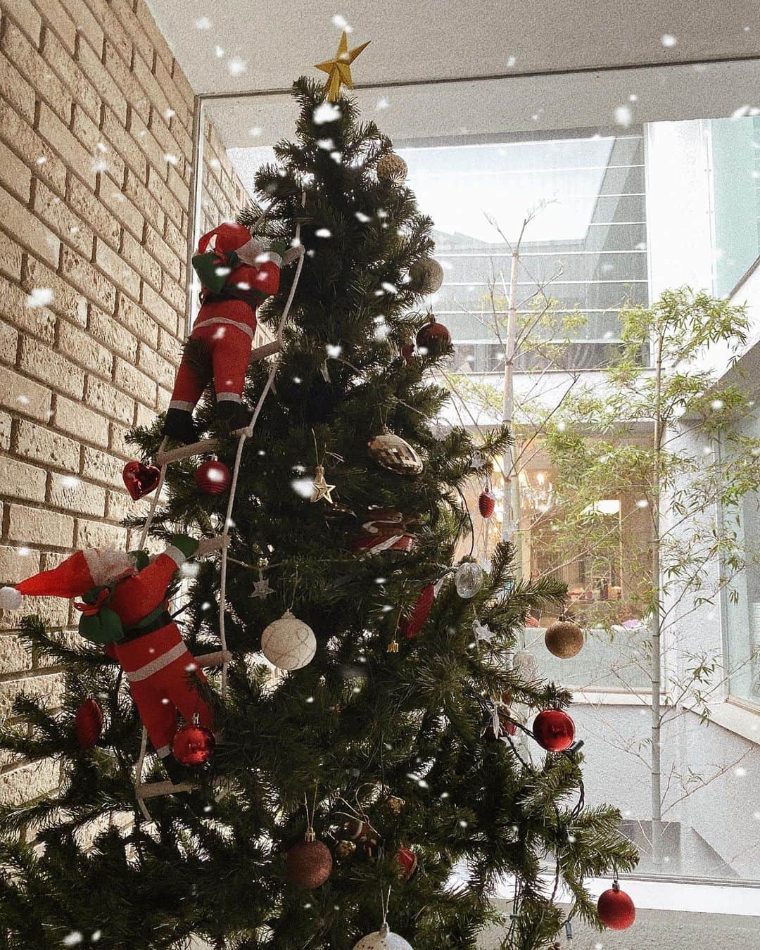 小林真由のインスタグラム：「メリークリスマスイヴ🎄✨  去年に比べてオーナメントが減ってる..？なツリー🥲 みなさま素敵なイヴになりますように✨🎄﻿  　 #クリスマスツリー﻿ #もつれたコードを直そうと思ってるうちに今日が来た🥲﻿ #お昼はさらに目立つけど載せちゃいます😗﻿ #メリークリスマス #クリスマス #クリスマスイヴ #女の子ママ #男の子ママ #ママライフ #2歳 #生後4ヶ月 #ベビー #二人育児」
